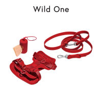 Wild One - Walk Sets │ Strawberry✨(Limited)