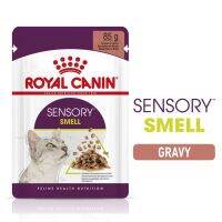 [ยกกล่อง 12 ซอง] Royal Canin Sensory Smell Pouch Gravy อาหารเปียกแมวโต กินอาหารก เลือกกิน กลิ่นหอมพิเศษ อายุ 12 เดือนขึ้นไป (ซอสเกรวี่, Wet Cat Food, โรยัล คานิน)(ส่งฟรี)(พร้อมส่ง!!!)