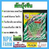 ผักบุ้งจีน ปลาทอง ขนาด 500 กรัม เมล็ดพันธุ์ ผักบุ้ง ลอตใหม่ งอกดี ต้นสวย โตเร็ว ใบเรียวเล็ก ไม่ล้มง่าย ทนโรค ระยะเก็บ 18 วัน ขายง่าย npkfarm