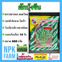 ผักบุ้งจีน ปลาทอง ขนาด 500 กรัม เมล็ดพันธุ์ ผักบุ้ง ลอตใหม่ งอกดี ต้นสวย โตเร็ว ใบเรียวเล็ก ไม่ล้มง่าย ทนโรค ระยะเก็บ 18 วัน ขายง่าย npkplant