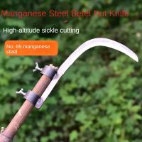 Beel Nut Knife Sickle เครื่องตัดหญ้าสำหรับการเกษตรระดับความสูงสูงเครื่องมือวัชพืชตัดเคียวขนาดเล็กกลางแจ้งมีดตกปลาหัวเคียว