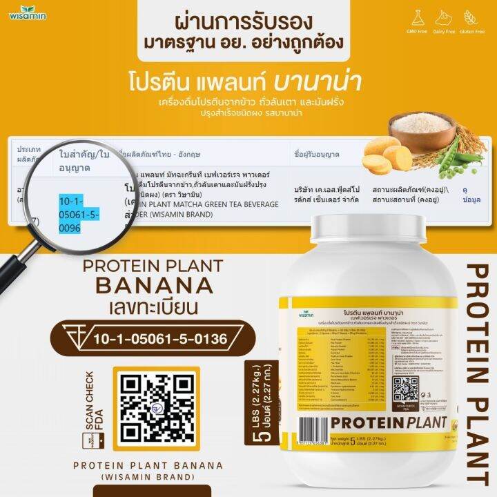 โปรตีนแพลนท์-สูตร-1-รสบานาน่า-protein-plant-banana-ขนาด-5-ปอนด์-5lbs-โปรตีนจากพืช-3-ชนิด-ข้าว-ถั่วลันเตา-เเละมันฝรั่ง-ออเเกรนิค-ปริมาณ-2-27kg