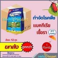 ฟังกูราน สินค้ายกลัง ขนาด 1 กิโล 1ลัง มี 12 โล โอเอช คอปเปอร์ ไฮดรอกไซด์ โรคพืช เชื้อรา โรคแคงเกอร์มะนาว ส้ม โรคพืชใบไหม้ ขนาด 1 กิโลกรัม