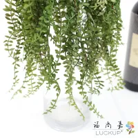 1 PCS Artificial Plastic Green Plant Pearl Chlorophytum Home Wedding Decoration Gift F454