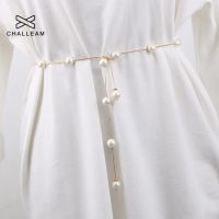 【CW】 Ladies Adjustable Chain Fashion Luxury Brand Design Thin Waist 209