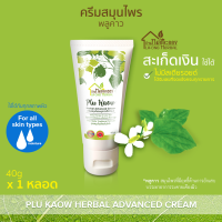 บ้านหมอละออง ครีมสมุนไพร พลูคาว แอ๊ดวานซ์ 1 หลอด ฟรีค่าส่ง 30 บาทแรก Plu Kaow Herbal Advanced Cream ครีมพลูคาว PluKaow บ้านหมอละออง พร้อมส่ง ได้รับเลขทะเบียนการผลิตตามกฎหมาย สูตรตำรับสมุนไพรพลูคาว เหงือกปลาหมอ ใบน้อยหน่า ว่านหางช้าง
