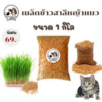 ?เมล็ดข้าวสาลี สำหรับแมว สุนัข นก กระต่ายหนู เมล็ดแท้1 กิโล ราคา 69 บาท ค่าส่ง22฿ มีชำระปลายทาง