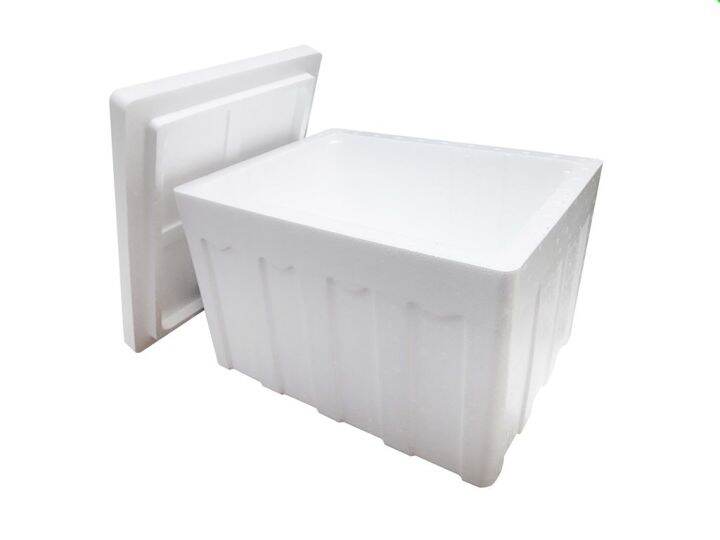 M3 Styrofoam Cooler Box Lazada