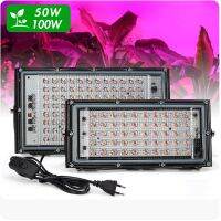 HOT สุด 220V LED Grow Light  50W/100W ไฟปลุกต้นไม้  ไฟช่วยต้นไม้ตัวเร็ว มีสวิตช์ปิดเปิด สายไฟยาว1.5โมตร ไฟต้นไม้ ไฟเลี้ยงต้นไม้ (ได้เฉพาะ: 50W  มีสลิง) สุดคุ้ม โคมไฟเพดานสวยๆ ไฟ ตกแต่ง เพดาน โคมติดเพดาน ไฟตกแต่งร้าน