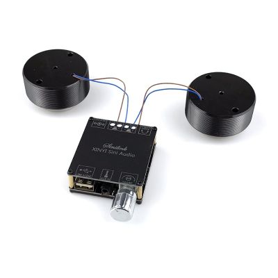 2x25W Resonance Vibration Speaker Bluetooth DIY Stereo Audio Portable Class D Power Amplifier Subwoofer HiFi System