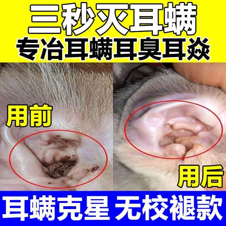 Cat Remove Ear Mites Medicine Boric Acid Borneol Cat With Dog Ear Drops