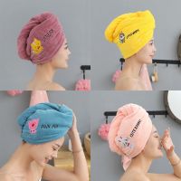 Cute Animal Embroidery Absorbent Shower Cap Coral Fleece Hair Drying Cap Towel Women Thicken Quick-Dry Turban Bathroom Towels