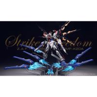 MG Gundam Strike Freedom Resin Convension Fortune Meow Studio