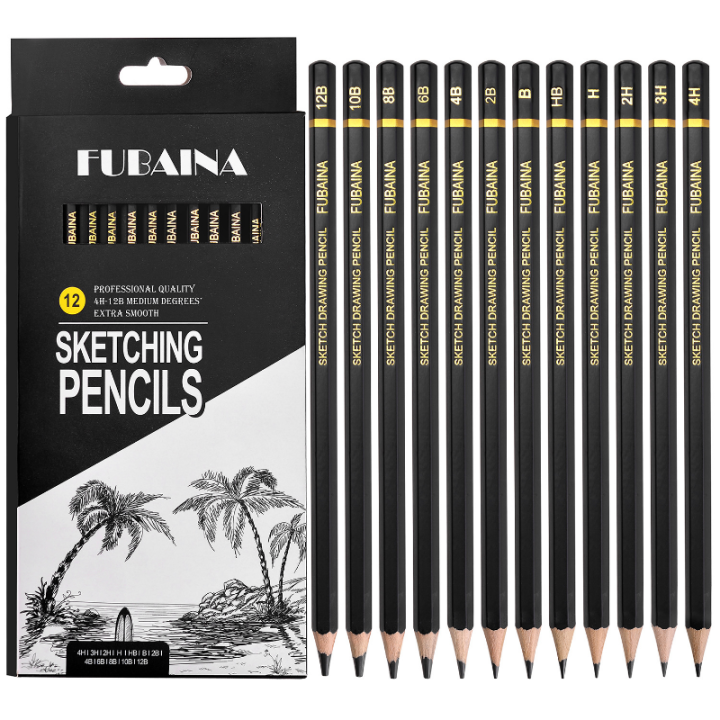 Professional Drawing Sketching Pencil Set, 12 Pieces Art Pencils ...