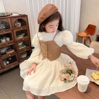 Teenage Girls Dresses New Childrens Baby Long Sleeve Princess Dress Girls Vest Dress Suit Girls A-Line Long Dress