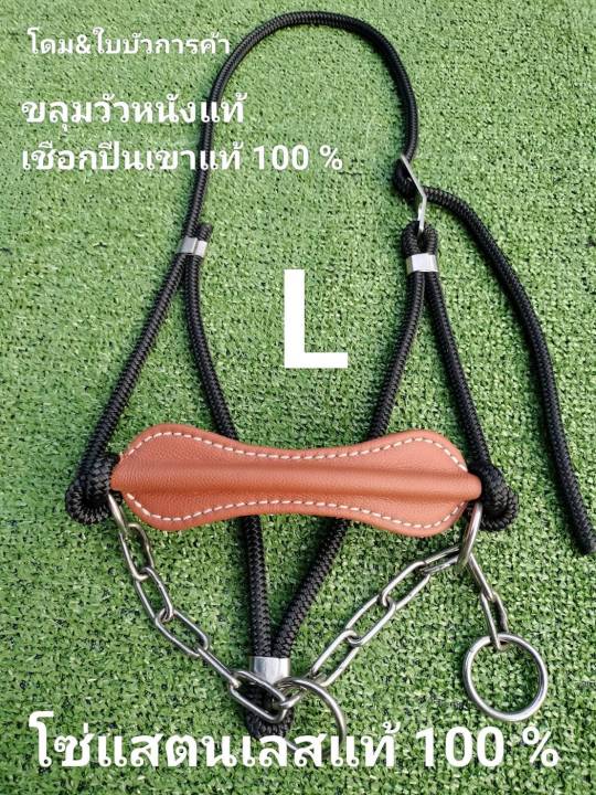 ขลุมวัวหนังแท้-100-เม่าวัว-เค่าวัว-เชือกปีนเขา-โซ่แสตนเลส-เกรด-304-แท้-100