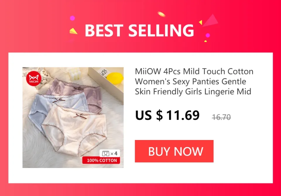 MiiOW 4Pcs Ice Silk Women 39;s Sexy Panties Underwear Breathable