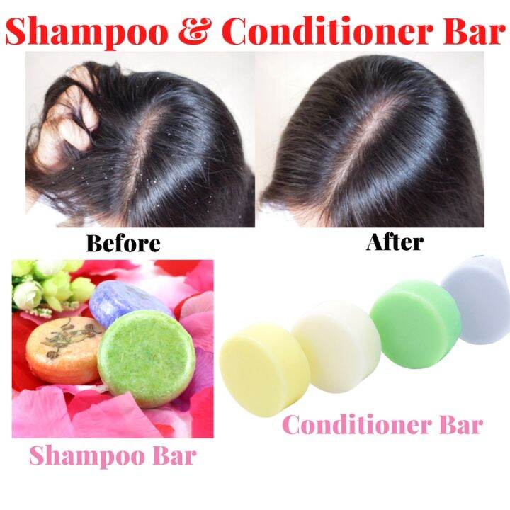 BUNDLE Shampoo + Conditioner Natural Plant Extract Bar Treated Dry