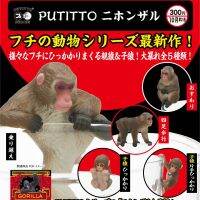 Japanese Kitan Gashapon Cute Simulation Baboon Orangutan Monkey Kawaii Capsule Toys Mini Model Gift Action Figure