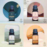 Fragrance Oil Emotion Collection จัดชุดราคาพิเศษ | อวล | น้ำมันหอมแบบหยดชนิดเข้มข้น ขนาด 15 ml. พร้อมจุกหยดในตัว