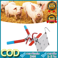 CCStore เครื่องมือแร็คตอนสุกร Double Hook Suspension สแตนเลสใช้งานง่ายสะดวก Pig Castration Frame