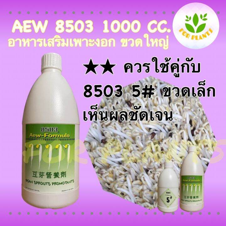 forplants-8503-ฮอร์โมน8503-ขวดใหญ่-1000มิลลิลิตร-ฮอร์โมนเพาะงอก-ฮอร์โมนถั่วงอก-เพาะถั่วงอก-ควรใช้คู่กับ-8503ขวดเล็ก-ถั่วงอกอ้วน-ถั่วงอกรากสั้น