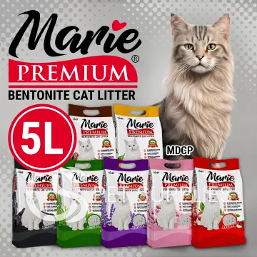 Cat litter shop sand online