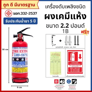 ถังดับเพลิงมือ2 ราคาถูก ซื้อออนไลน์ที่ - ก.ค. 2023 | Lazada.Co.Th