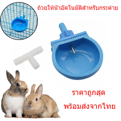 ราคาถูกสุด ถ้วยให้น้ำอัตโนมัติ สำหรับกระต่าย ถ้วยให้น้ำกระต่าย ชามน้ำดื่มกระต่าย อุปกรณ์สัตว์เลี้ยง สีฟ้า