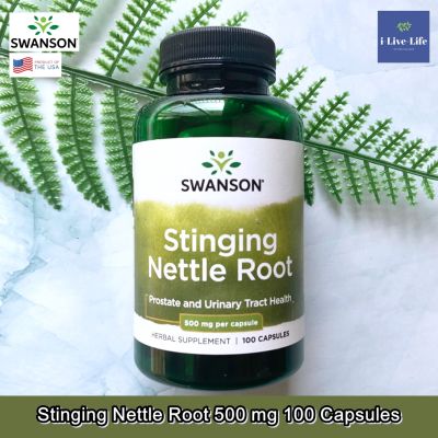 Swanson - Stinging Nettle Root 500 mg 100 Capsules สารสกัดจากรากตำแย