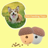 Treat Toy For Small Large Dogs Cat Food Dispensing Funny Interactive Training Toy Puppy Slow Feed Pet Improve IQ