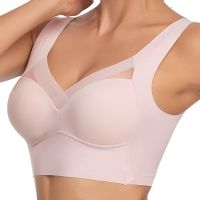 【CW】 Seamless Bra Sexy Sports Running Shockproof Underwear Ladies Small Chest Gathered No Steel Ring Beautiful Back Thin Tube Top