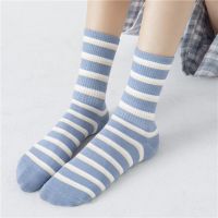 ⭐️READY STOCK⭐️Fashion Ankle Socks Women Breathable Cotton Sock Stealth Stocking SOX55