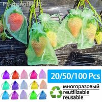 20-100pcs Fruit Protection Bags Strawberry Grapes Pest Control Anti-Bird Garden Netting Bags Mesh Bag Plante Vegetable Grow Bag