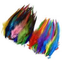 20Pcs Colored Pheasant Feathers for Crafts Jewelry Handicrafts Cock Decoration Catcher Accessories Needlework