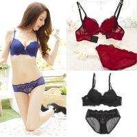 ✨ in2it ღ Women Lace 34 Cup Embroidery + Pants Underwear Set 2 PCs