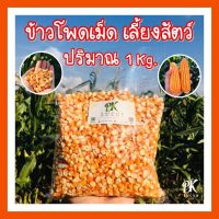 ข้าวโพดเม็ด เม็ดเต็ม 1 กิโลกรัม พันธ์ 888 999 339 และ S7 เม็ดเต็ม อาหารสัตว์ ข้าวโพดบด เลี้ยงสัตว์ อาหารนก อาหารไก่ สัตว์เล็ก คัดเกรด A