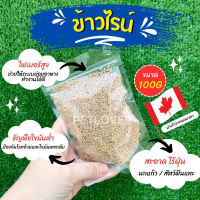 ข้าวไรน์ Canada บำรุงให้ขนสวย มันเงา อาหารนก อาหารเสริมสำหรับนก และสัตว์ฟันแทะ (แบ่งขาย 100G / 250G)