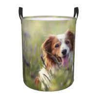 ●▲ Basket Kooikerhondje Dog Field Folding Dirty Storage Household