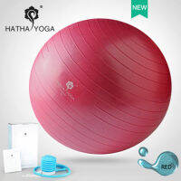 HATHA YOGA - บอลโยคะ ไซด์ 55 cm. คงทน ยืดหยุ่น ปลอดสารพิษ กันระเบิด, Professional-grade, anti-burst ball, improve balance and flexibility, พิเศษแถมเครื่องปั้มลม และ อุปกรณ์ มูลค่า 250 บาท