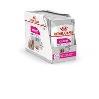 พลาดไม่ได้ โปรโมชั่นส่งฟรี (BOX)อาหารเปียกสุนัขสูตรบำรุงพิเศษ Royal canin care ขนาด 85 g*12ซอง เนื้อโลฟ (กล่อง)