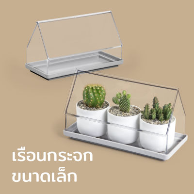เรือนกระจกขนาดเล็ก สำหรับปลูกต้นไม้ขนาดเล็ก (ตัวสินค้าไม่รวมกระถางด้านใน) - Qualy Micro Greenhouse - Plant Tray + Green house