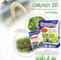 ยกลัง 60 กล่อง บิสนานา20 บิสไพริแบค20%+สารเพิ่มประสิทธิ์ภาพ ขนาด 100 กรัม สารกำจัดวัชพืชในนาข้าว ทั้งใบแคบ และใบกว้าง หญ้าข้าวนก หญ้าดอกขาว