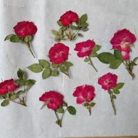 30pcs Dried Pressed Red Rose Flowers Leaves Plant Herbarium For Jewelry Postcard Photo Case Bookmark Invitation Card DIY