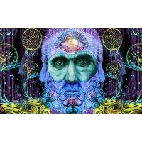 Trippy Psychedelic ศิลปะบนผนังโปสเตอร์และภาพพิมพ์สุดเจ๋งภาพวาดไหมภาพนามธรรมสำหรับการใช้ชีวิต69F 0717