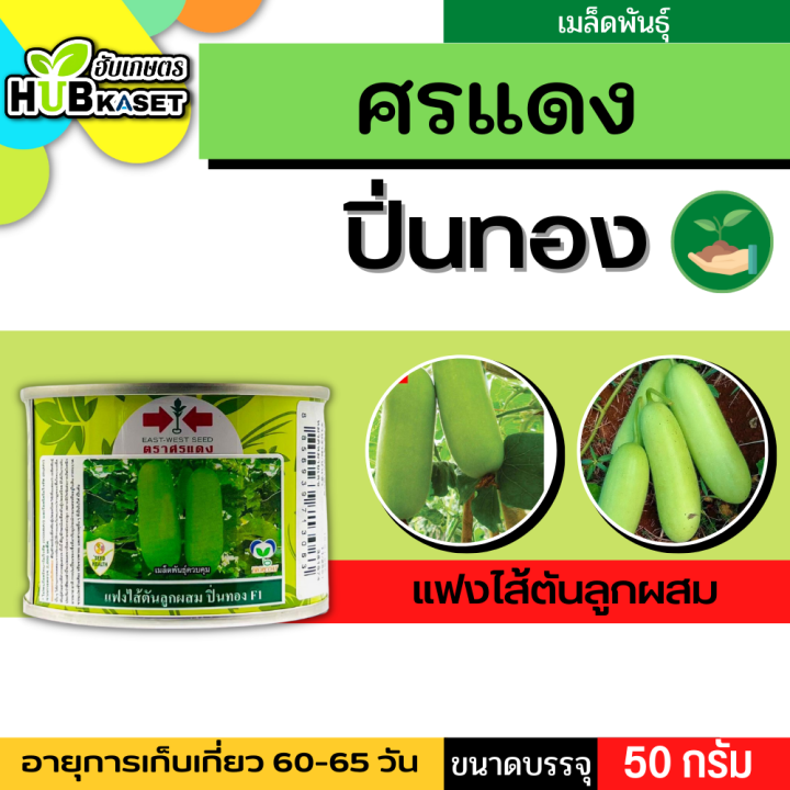 ศรแดง 🇹🇭 แฟงไส้ตันลูกผสม ปิ่นทอง F1 ขนาดบรรจุประมาณ 50 กรัม อายุเก็บเกี่ยว 60-65 วัน