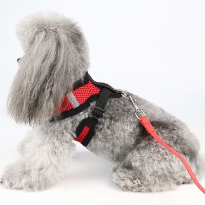 ∈ สายจูงสุนัข Teddy Corgi Pomeranian สุนัขขนาดเล็กและขนาดกลางสายรัดสัตว์เลี้ยง Dog Chain สายจูงสุนัขอุปกรณ์สำหรับลูกสุนัข