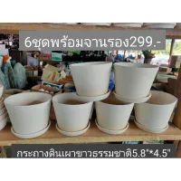 กระถางดินเผาขาวธรรมชาติ5.8โมเดิร์นพร้อมจานรอง6ชุด