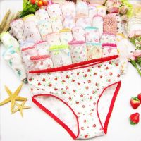 (TER)6pc/Lot  Fashion New Baby Girls Underwear Cotton Panties Kids Short Briefs Children Underpants