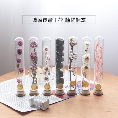 【CW】△  Glass Test Tube Dried Bouquet Immortal Specimen Decoration Wish Decorations for